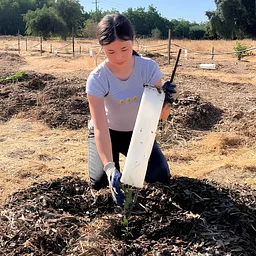 Stewardship Day