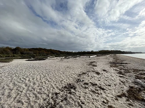 Earth Day Beach Clean Up