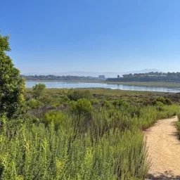 UPPER NEWPORT BAY Bird Walk