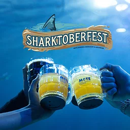 Sharktoberfest