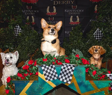 3rd Annual Park-9 Derby