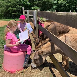 Books at the Barn