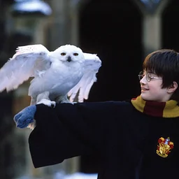 Trivia Night: Harry Potter