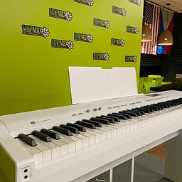 Live Piano Performance