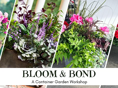 Bloom & Bond at Greenology