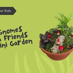 Kids Workshop | Gnomes and Friends Mini Garden
