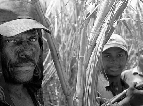 On Documentary Photography: Crafting the Visual Narrative