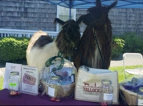 Fleece & Fiber Festival