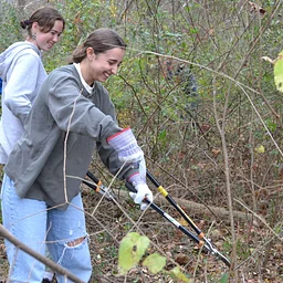September Forest Restoration Workday at Riverview Park