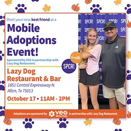 Mobile Adoptions Sponsored by VEG in Partnership with Lazy Dog Allen