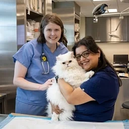 2026 Vet Tech Conference