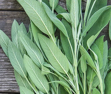 Garden to Table – Herb Butter