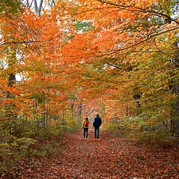 Redding Community Hiking Club ~ Highstead Hike (Off-Site)
