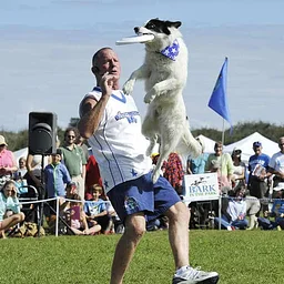 Bark In The Park 2027