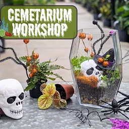 Cemetarium Workshop