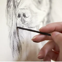 BASIC OBSERVATIONAL DRAWING
