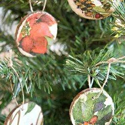 Craft Club: Ornaments