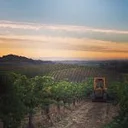 Truchard Vineyards