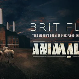 Brit Floyd: Animals 50