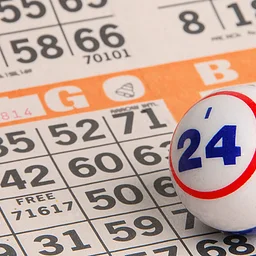 Bingo Night
