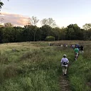 Morning in the Meadows