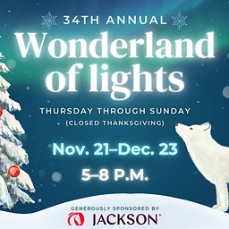 Wonderland of Lights