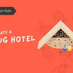 Kids Workshop | Decorate a Bug Hotel
