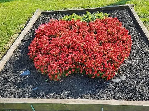 2026 Opening Weekend