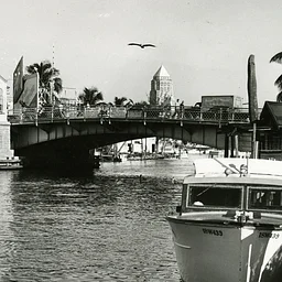 Virtual—History Talks: South Florida’s Unique Environment