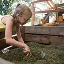 Composting Series: Recycling Holiday Scraps