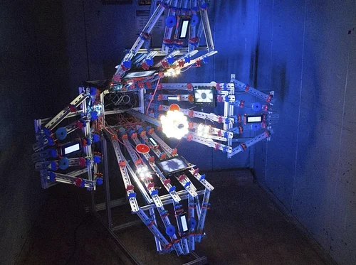 50 for 50 Interactive: Pollination by Chris Combs