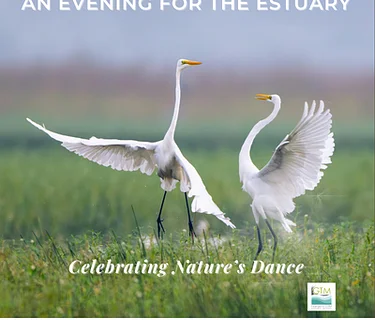 An Evening for the Estuary