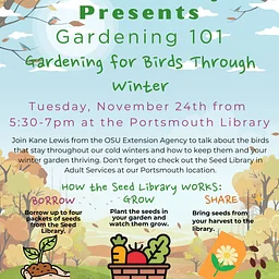 Gardening 101: Gardening for Birds Through Winter