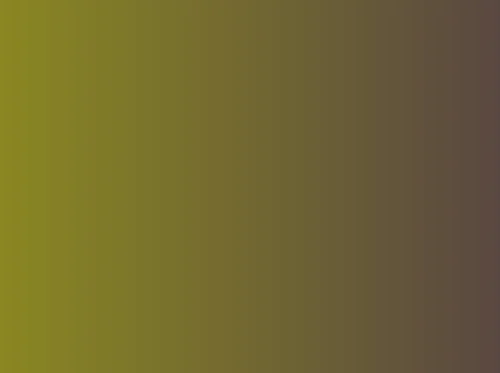 An Afternoon with David Haskell