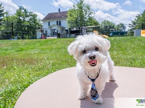 PG Terps Presents: Bark to the Future - Terps Fur Good