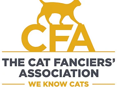 Mountain Mist Cat Fanciers Show