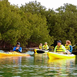 Morning Paddle – Kayaking with Mote