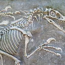 Jurassic Explorers Camp July 20th-24th