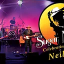 Sugar Mountain: Neil Young