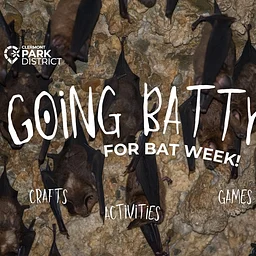 Going Batty