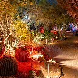 Fall Garden After Dark