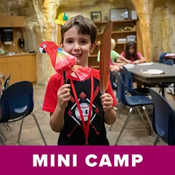 Mini Camp: Things With Wings