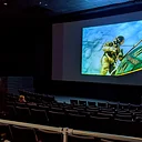 Human Destiny Film