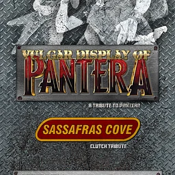 Vulgar Display Of Pantera
