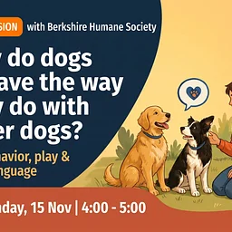 Free Training: Why do dogs behave the way they do with other dogs?