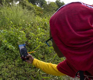 South Florida City Nature Challenge 2026
