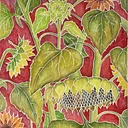 GARDEN VARIETY BY GEORGE ROGERS