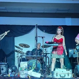 Infrared Radiation Orchestra