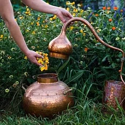 The Distillation of Hydrosols Workshop