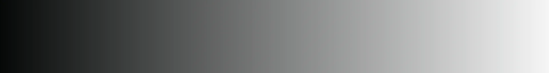 Branch Museum of Design